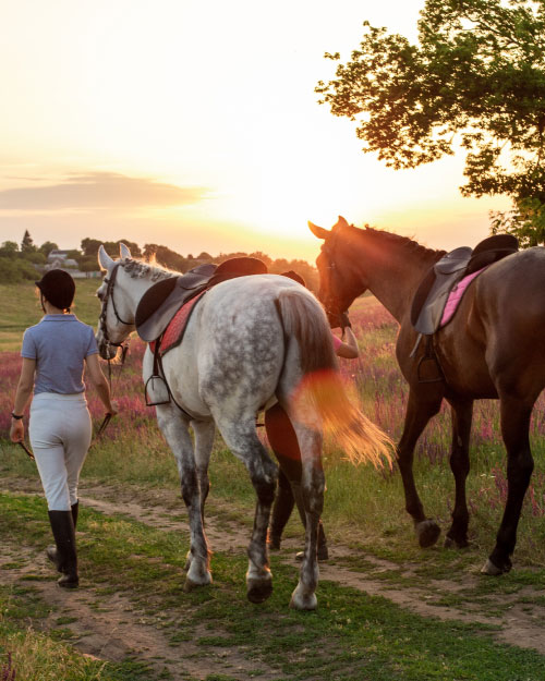 cavalcata-della-polenta-viepri